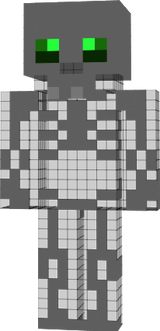 Metalyo squelette