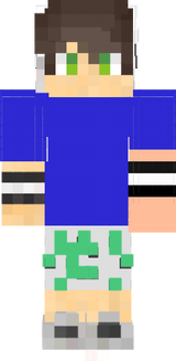 skin