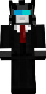 tranformer swag