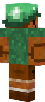 turtle skull con V4