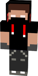 DESTRUIDOR
