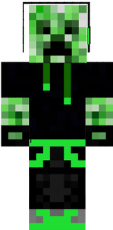 flipper02