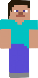Flat Steve