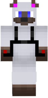 FloppyCat Minecraft Siamese Cat skin UPDATE 7 More texturing