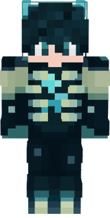 TomasN11