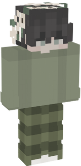 Skinprova22