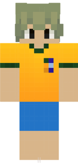 Danskinverde