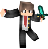 p_PeonixNinja_q