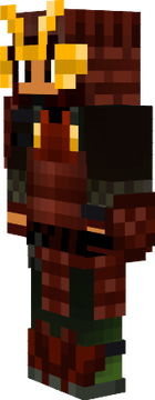 aniinco