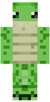 AWESOME TURLE