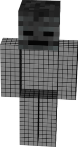1223343234