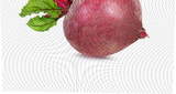 Свекла