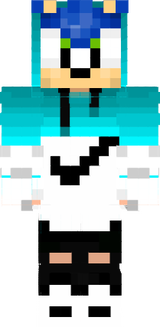 Sonic The Hedgehog The Pro Skin