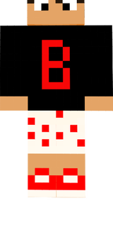 servo