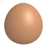 egg