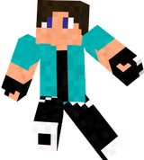 RayconSD v