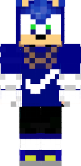 Sonic Pro Hacker God Skin