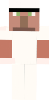 vigg povar