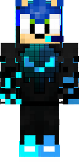 Sonic The Pro Skin