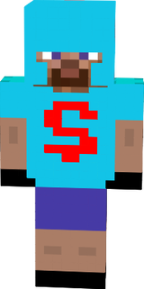 Fleshka