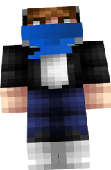 NinjaStealth22