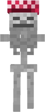 skeleton2