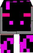 ENDER PIG