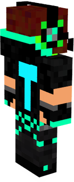 skin