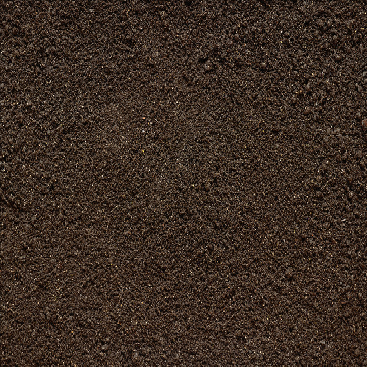 Preview of texture: dirt