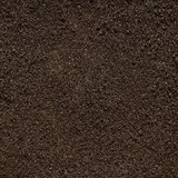 dirt