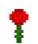 Rose1
