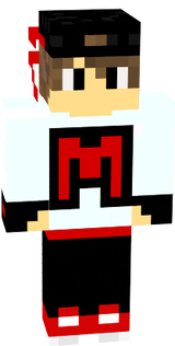 skin 2