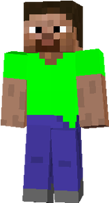 Steve