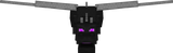 Enderdragon