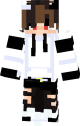 1er skin