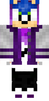 Sonic The Hedgehog The Pro Skin
