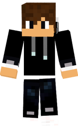 skin
