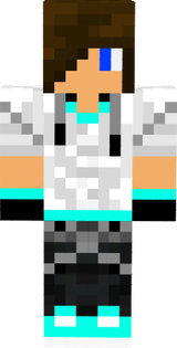 DicoMMv2