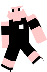 myskin4.2