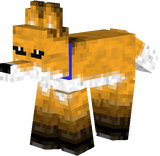 Fox_collar