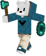 canal novo