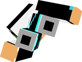 VIP CRAf