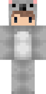 koala skin