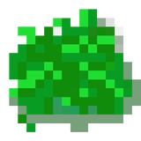 weed