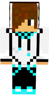 swag