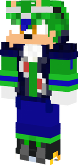 RoberSortF13 The Hedgehog V3