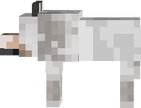 wolf