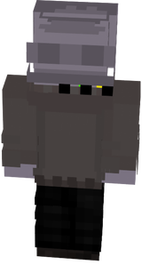 v1