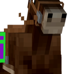 mule