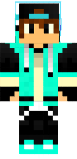 steve 